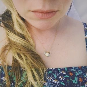 Meet your Posher, Phoebe